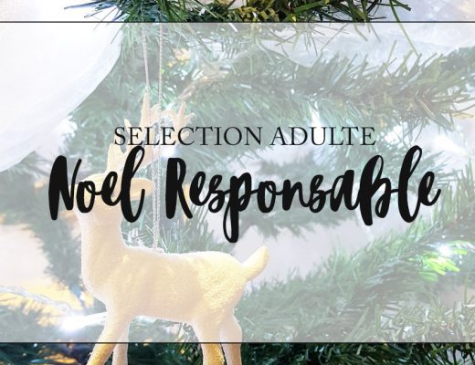 selection Noel responsable adulte
